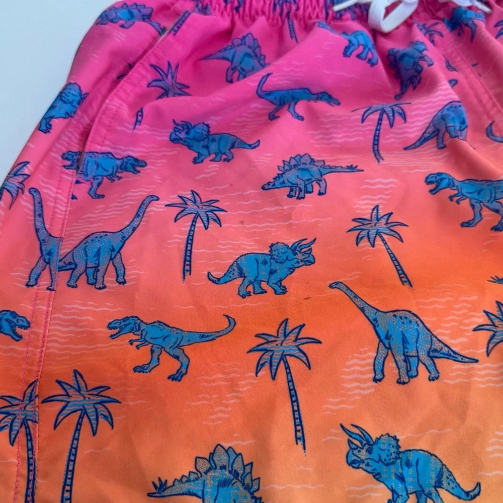 Chubbies Swim Trunks Pink Orange Yellow Gradient Blue Dinosaurs Mesh Lining Sz M